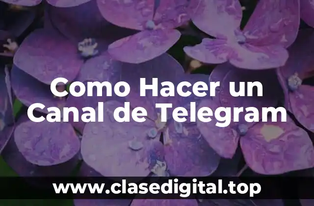 Como Hacer un Canal de Telegram