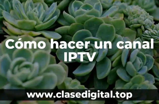 Cómo hacer un canal IPTV