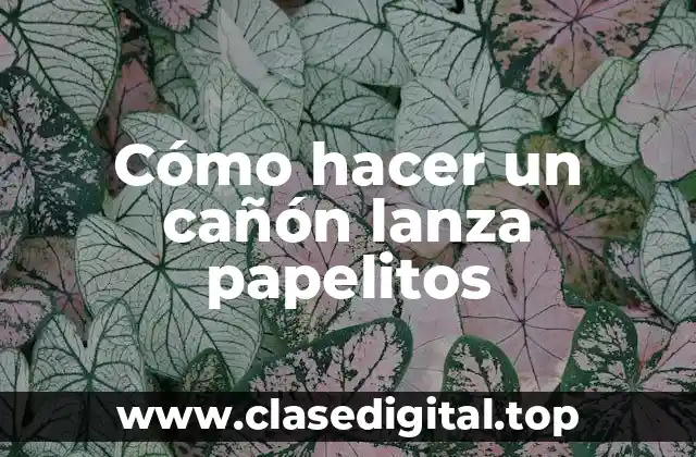 ¿Qué es un cañón lanza papelitos y para qué sirve?