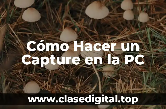 Cómo Hacer un Capture en la PC