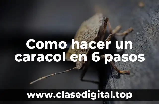 Como hacer un caracol en 6 pasos
