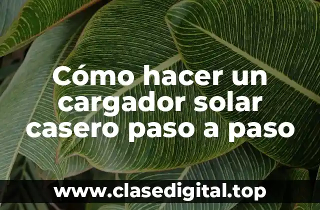 Cómo hacer un cargador solar casero paso a paso