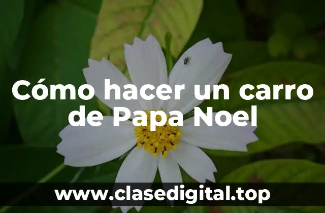 ¿Qué es un carro de Papa Noel?