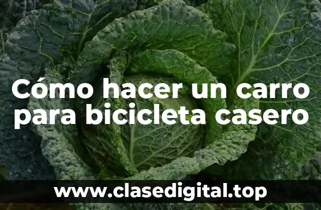 Carro para bicicleta casero