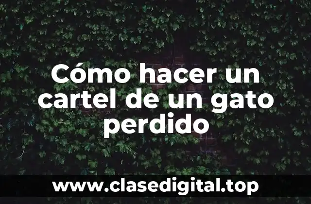 Cómo hacer un cartel de un gato perdido