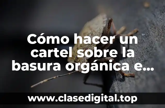 Cómo hacer un cartel sobre la basura orgánica e inorgánica