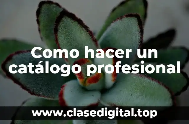 Como hacer un catálogo profesional