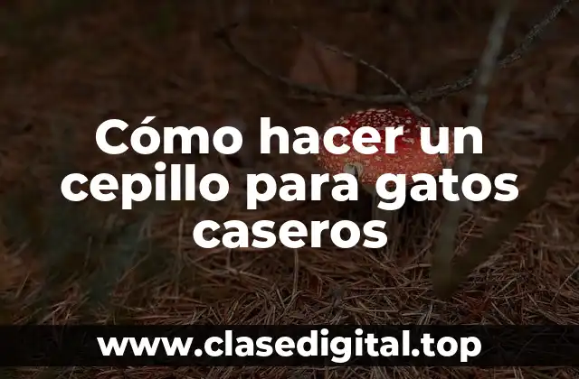 Cómo hacer un cepillo para gatos caseros