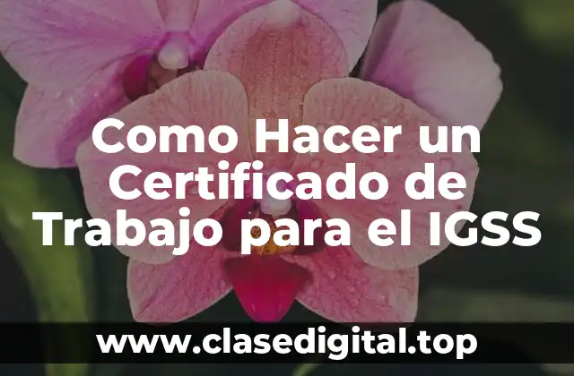 ¿Qué es un Certificado de Trabajo para el IGSS?