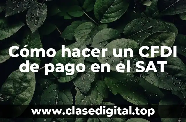 Cómo hacer un CFDI de pago en el SAT