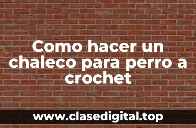Como hacer un chaleco para perro a crochet