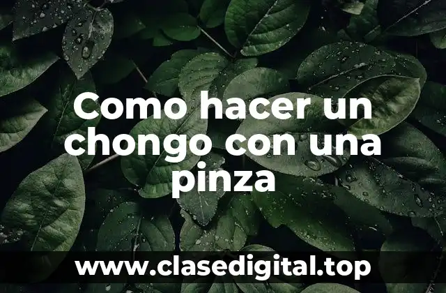 ¿Qué es un chongo y cómo se hace con una pinza?