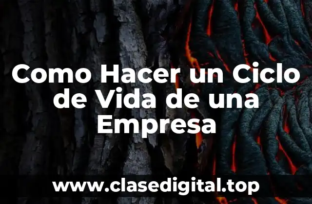 Como Hacer un Ciclo de Vida de una Empresa