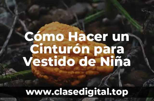 Cómo Hacer un Cinturón para Vestido de Niña