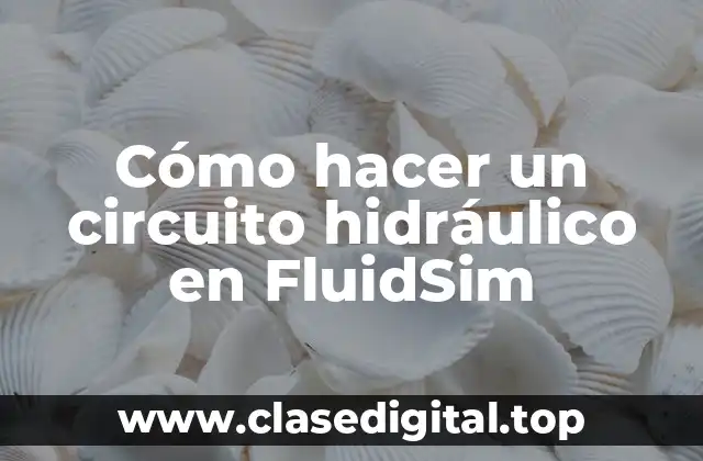 Cómo hacer un circuito hidráulico en FluidSim
