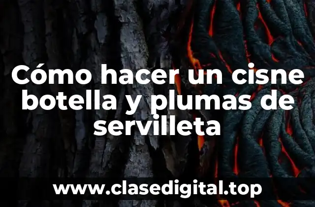 Cómo hacer un cisne botella y plumas de servilleta