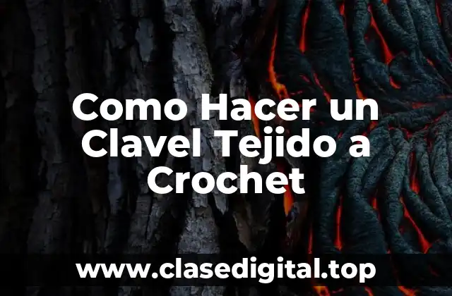 ¿Qué es un Clavel Tejido a Crochet?