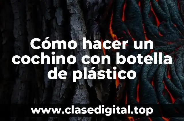 Cómo hacer un cochino con botella de plástico