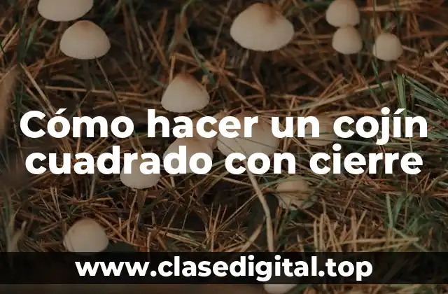 Cómo hacer un cojín cuadrado con cierre