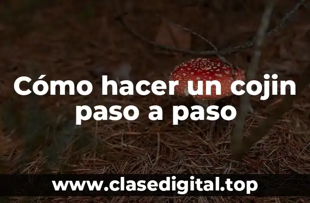 Cómo hacer un cojin paso a paso