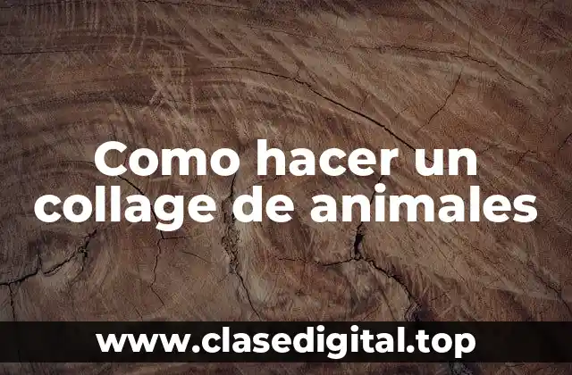 Definición de un collage de animales