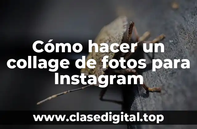 Cómo hacer un collage de fotos para Instagram