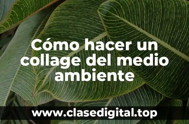 Cómo hacer un collage del medio ambiente
