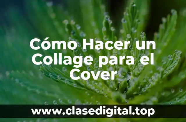 Cómo Hacer un Collage para el Cover