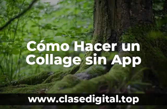 Cómo Hacer un Collage sin App