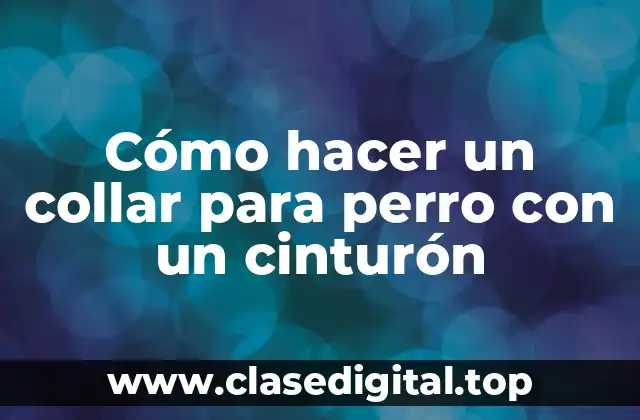 Cómo hacer un collar para perro con un cinturón