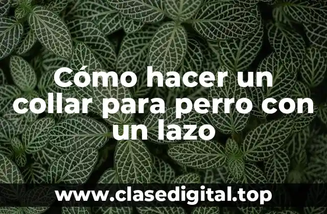 Cómo hacer un collar para perro con un lazo