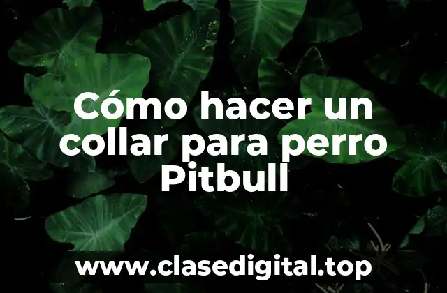Cómo hacer un collar para perro Pitbull