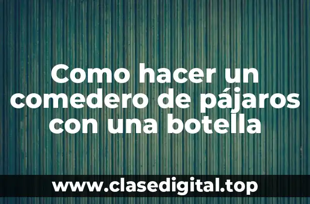 Como hacer un comedero de pájaros con una botella