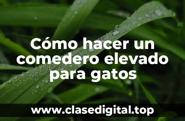 Cómo hacer un comedero elevado para gatos