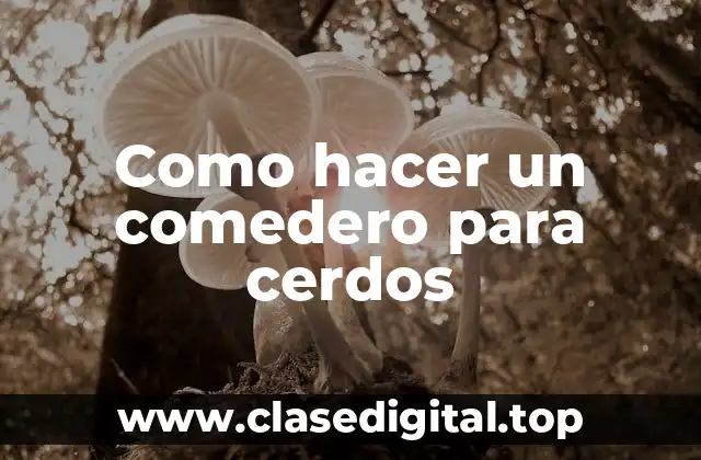 Como hacer un comedero para cerdos