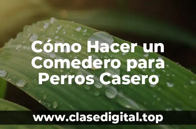 Cómo Hacer un Comedero para Perros Casero