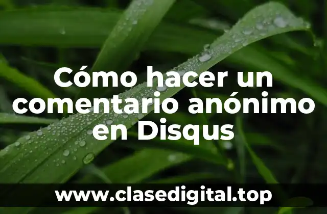 Cómo hacer un comentario anónimo en Disqus