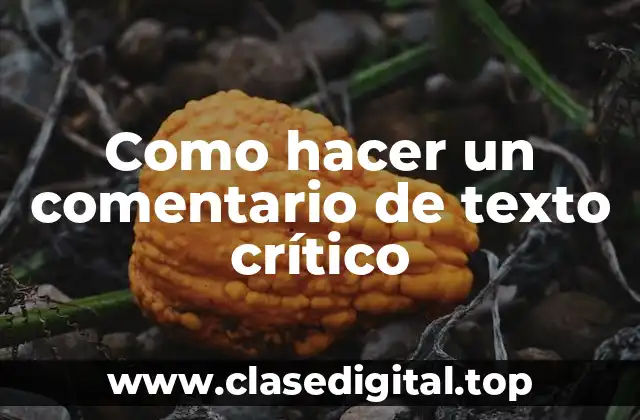 Como hacer un comentario de texto crítico