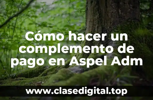 Cómo hacer un complemento de pago en Aspel Adm