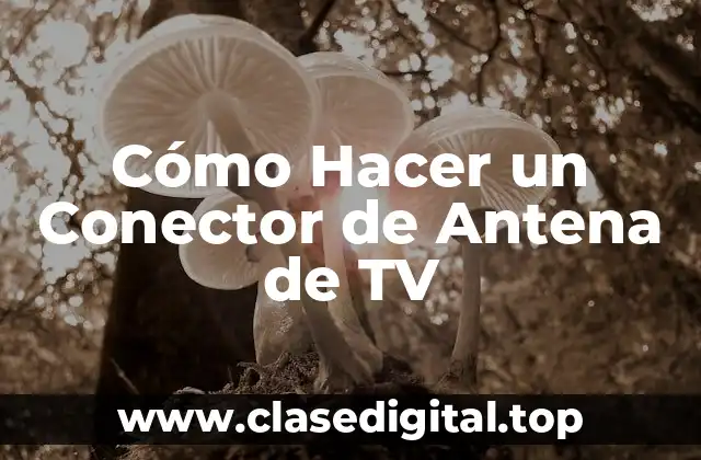 Cómo Hacer un Conector de Antena de TV
