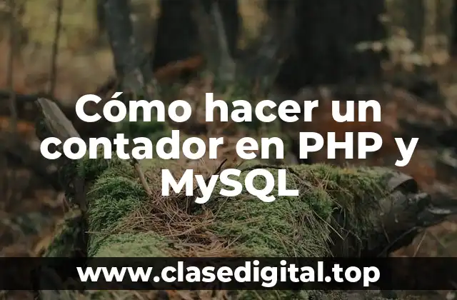 ¿Qué es un contador en PHP y MySQL?