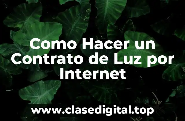¿Qué es un Contrato de Luz por Internet?