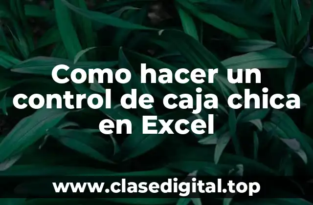 Como hacer un control de caja chica en Excel