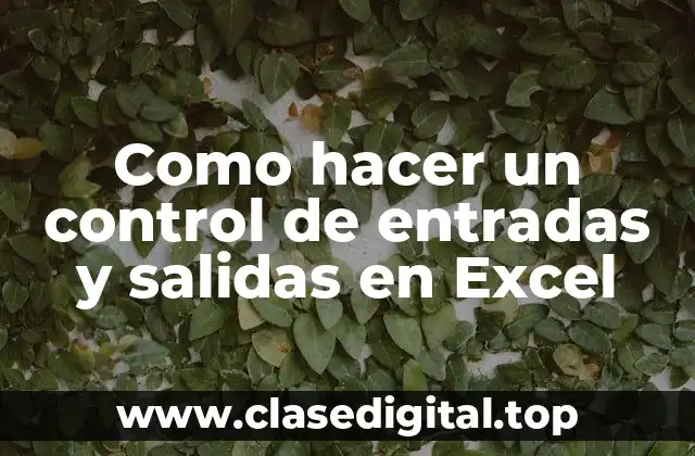 Que es un control de entradas y salidas en Excel