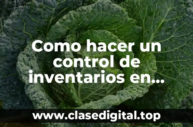 Como hacer un control de inventarios en Access
