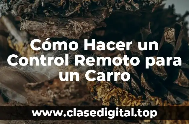 Cómo Hacer un Control Remoto para un Carro