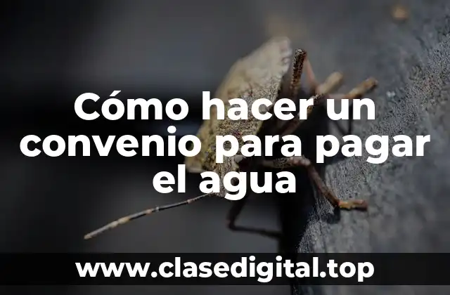 Cómo hacer un convenio para pagar el agua