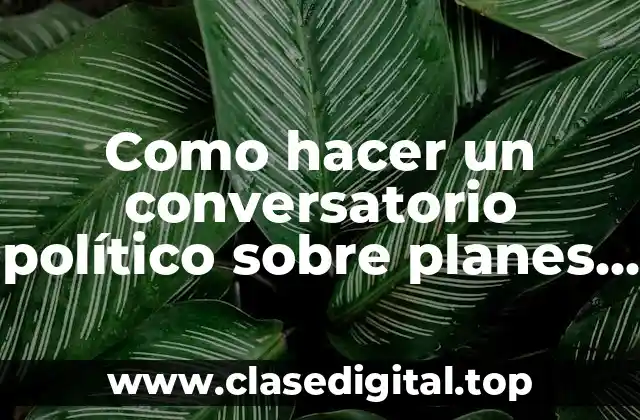 Como hacer un conversatorio político sobre planes de gobierno