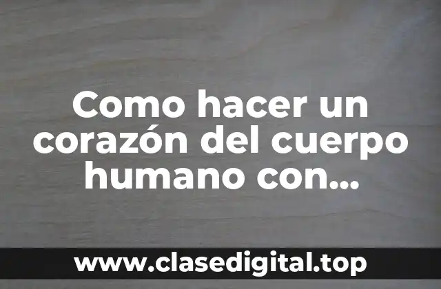 Como hacer un corazón del cuerpo humano con material reciclado