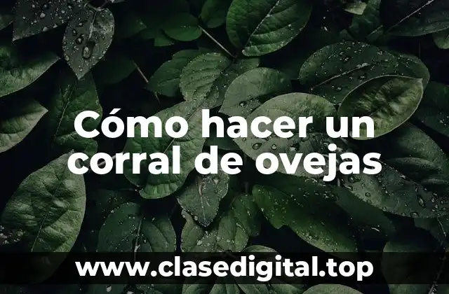 Qué es un corral de ovejas y para qué sirve